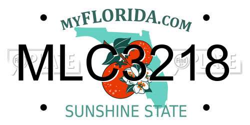 MLC3218 Florida License Plate