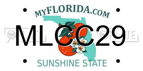 MLCC29 Florida License Plate