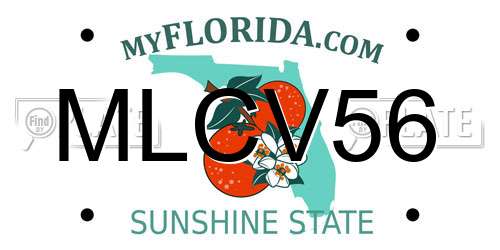 MLCV56 Florida License Plate