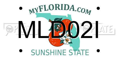MLD02I Florida License Plate