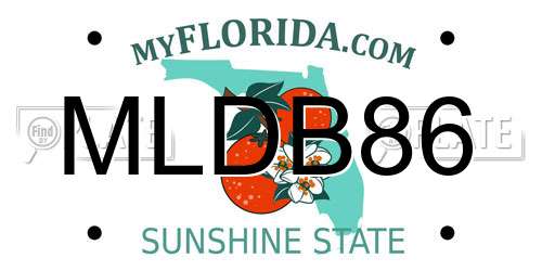 MLDB86 Florida License Plate