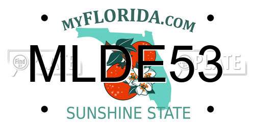 MLDE53 Florida License Plate