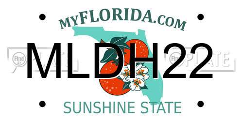 MLDH22 Florida License Plate
