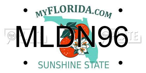 MLDN96 Florida License Plate