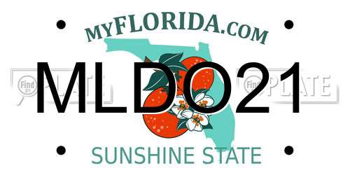 MLDO21 Florida License Plate