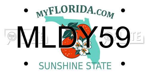 MLDY59 Florida License Plate
