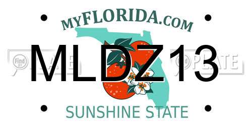 MLDZ13 Florida License Plate