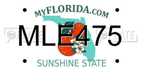 MLE475 Florida License Plate