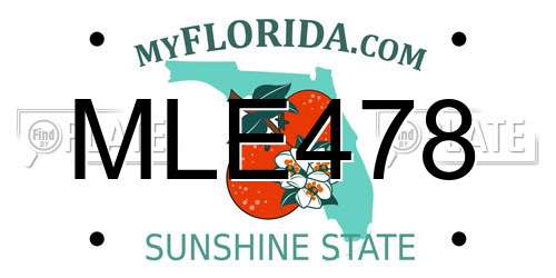 MLE478 Florida License Plate