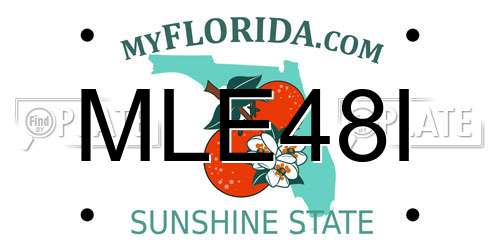 MLE48I Florida License Plate
