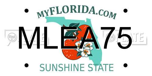 MLEA75 Florida License Plate