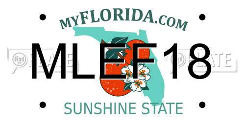 MLEF18 Florida License Plate