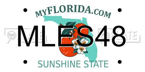 MLES48 Florida License Plate
