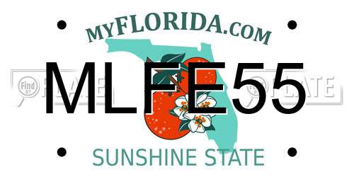 MLFE55 Florida License Plate