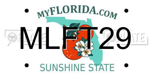 MLFT29 Florida License Plate