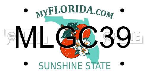 MLGC39 Florida License Plate