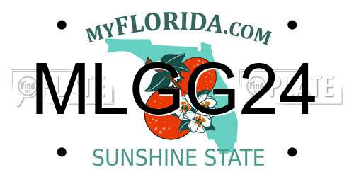 MLGG24 Florida License Plate