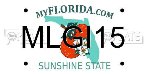 MLGI15 Florida License Plate