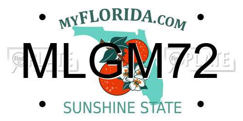 MLGM72 Florida License Plate