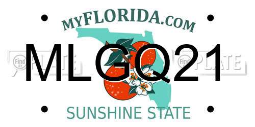 MLGQ21 Florida License Plate
