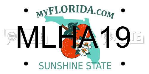 MLHA19 Florida License Plate