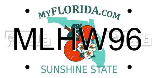 MLHW96 Florida License Plate