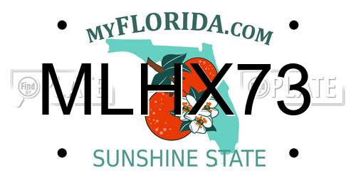 MLHX73 Florida License Plate