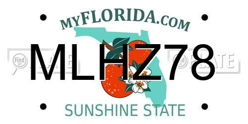 MLHZ78 Florida License Plate