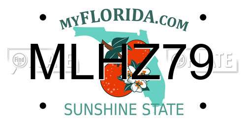 MLHZ79 Florida License Plate