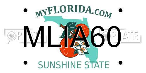 MLIA60 Florida License Plate