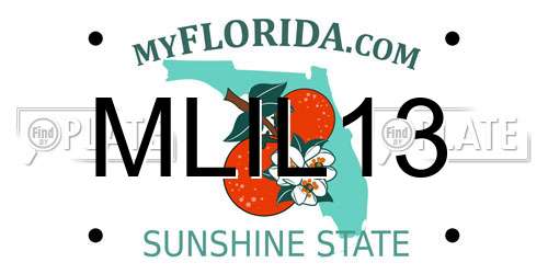 MLIL13 Florida License Plate