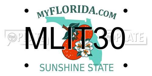MLIT30 Florida License Plate