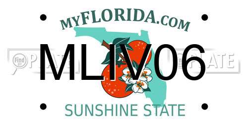 MLIV06 Florida License Plate