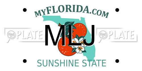 MLJ Florida License Plate