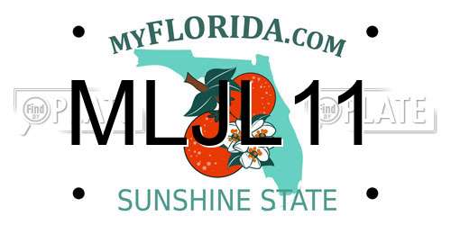 MLJL11 Florida License Plate