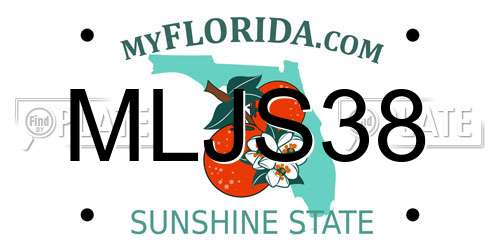 MLJS38 Florida License Plate