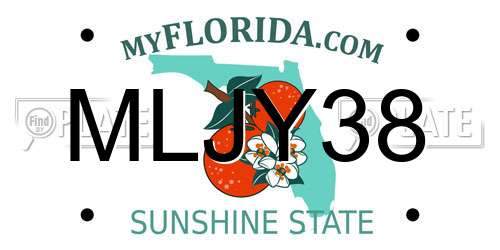 MLJY38 Florida License Plate