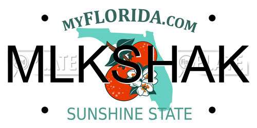 MLKSHAK Florida License Plate