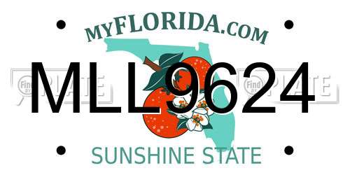 MLL9624 Florida License Plate