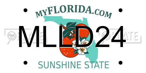 MLLD24 Florida License Plate