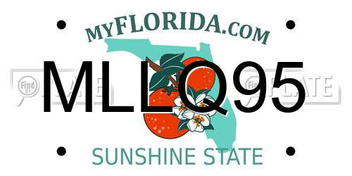 MLLQ95 Florida License Plate
