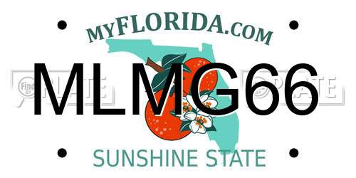 MLMG66 Florida License Plate