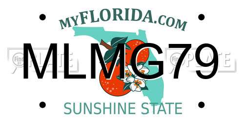 MLMG79 Florida License Plate