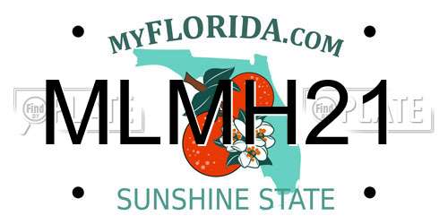 MLMH21 Florida License Plate