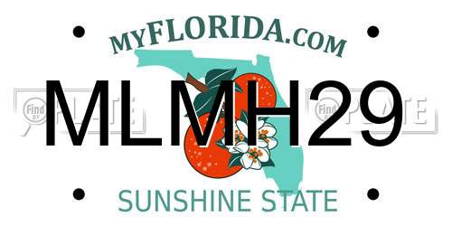 MLMH29 Florida License Plate