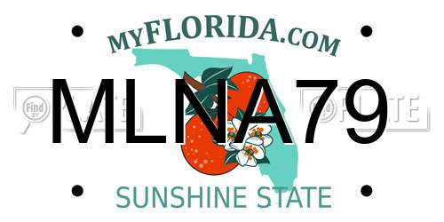 MLNA79 Florida License Plate