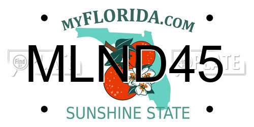 MLND45 Florida License Plate
