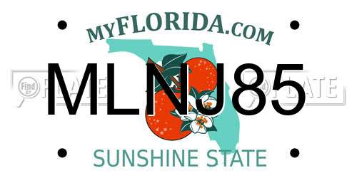 MLNJ85 Florida License Plate
