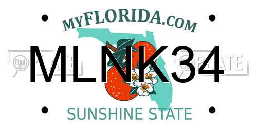 MLNK34 Florida License Plate