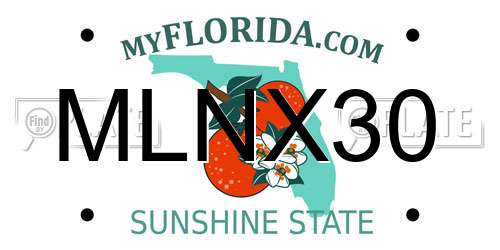MLNX30 Florida License Plate